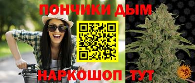 шишки Тара