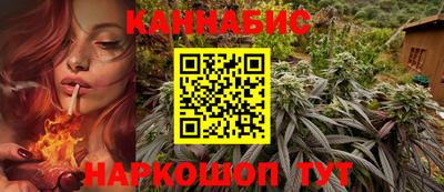 шишки Тара