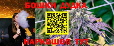 шишки Тара