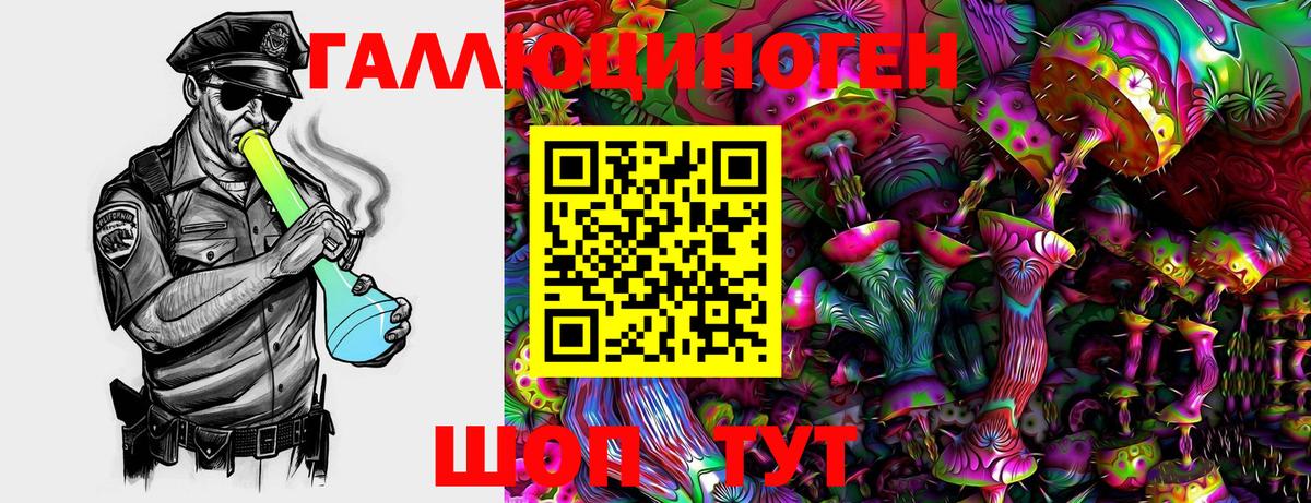 где купить наркоту  Псилоцибиновые грибы GOLDEN TEACHER  Вход с VPN  Осинники 